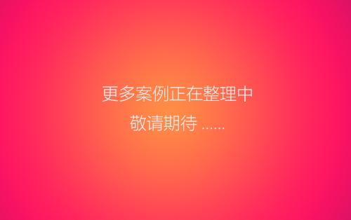 更多案例...